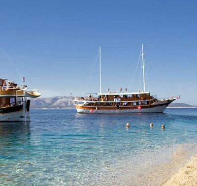 cruises